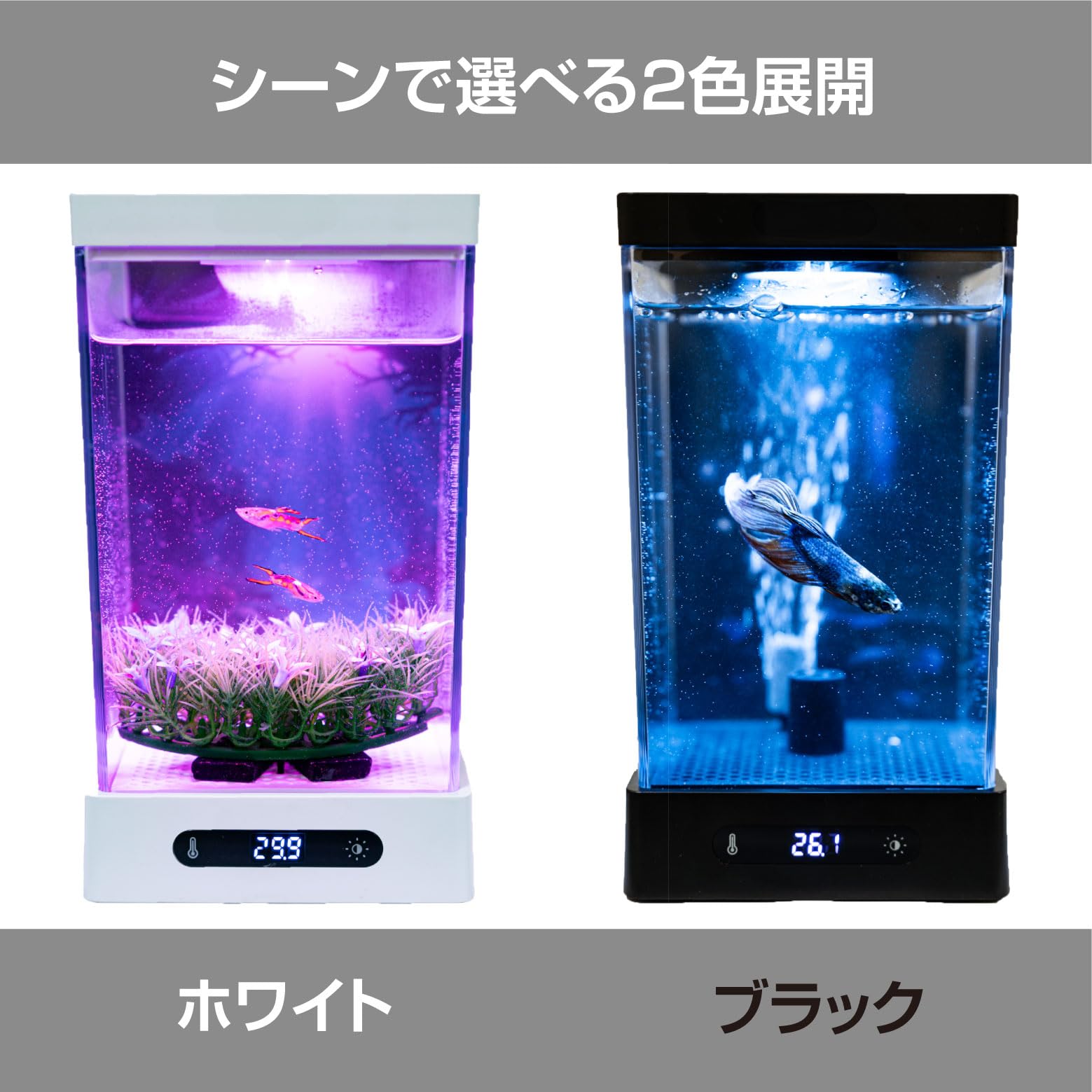 Amazon | 小型ベタ 水槽 コンパクト FiSH-α1 1.6L 20-30°C温度設定
